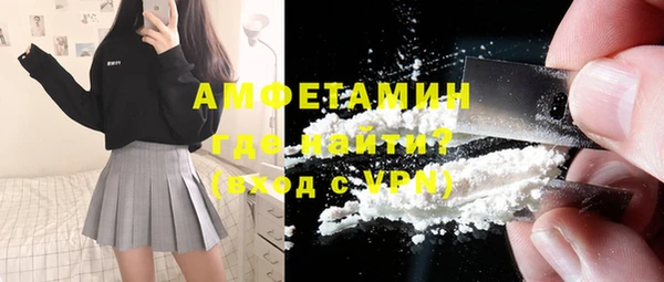 гашик Вяземский