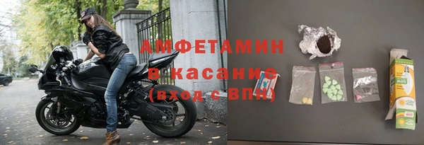 гашик Вяземский