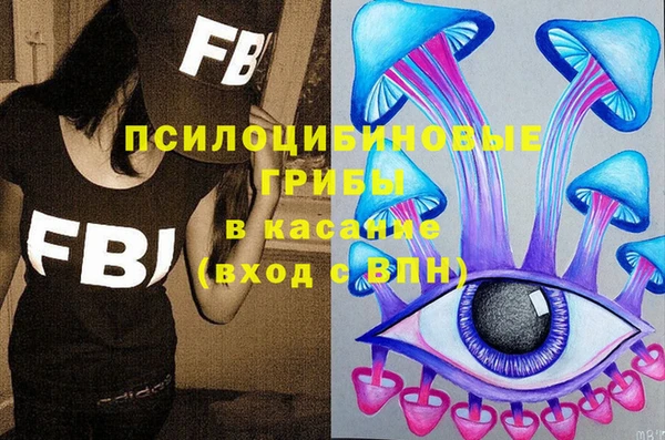 гашик Вяземский