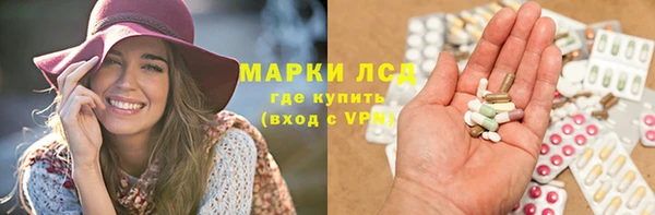 гашик Вяземский