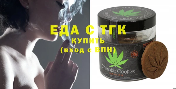 гашик Вяземский