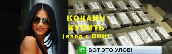 гашик Вяземский
