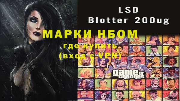 гашик Вяземский