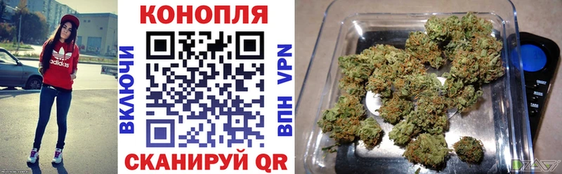 Марихуана сатива  Железногорск-Илимский 